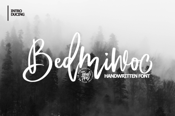 Bedmiwoc: Crafting Elegant Visual Identities