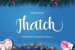 Thatch: A Modern Script with Rustic Soul